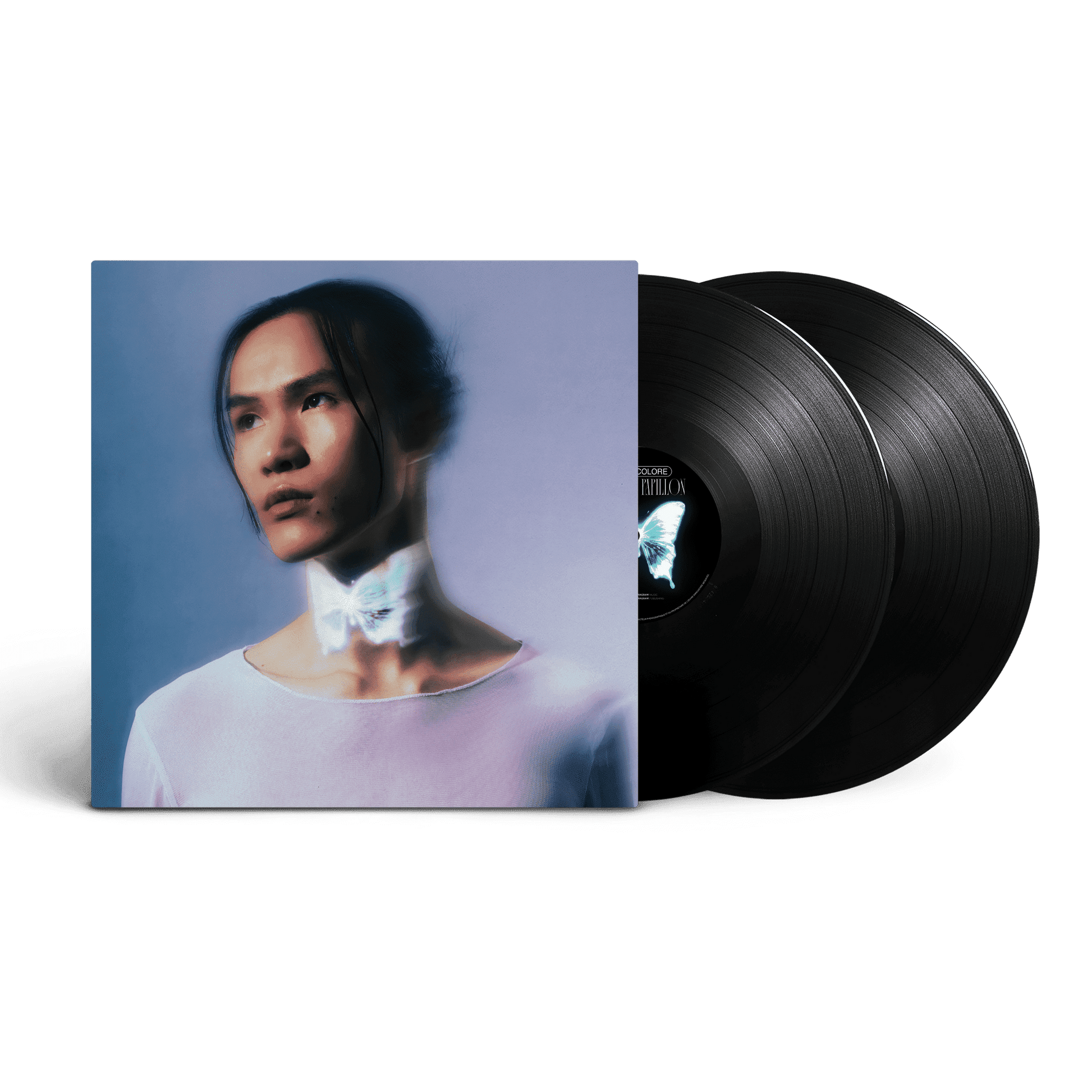 Double vinyle, Album la Loi du Papillon